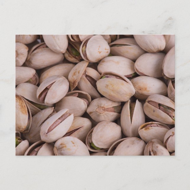 Pistachios Postcard (Front)