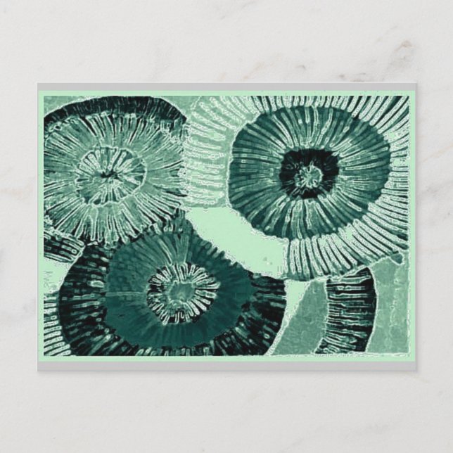pistacio print postcard (Front)