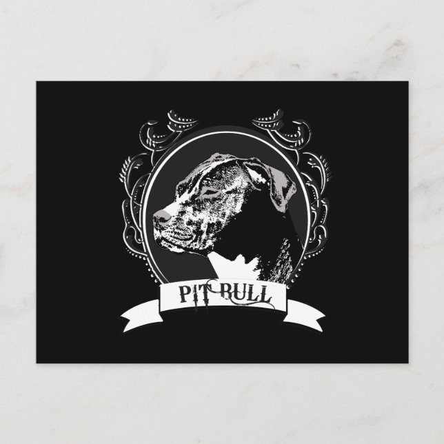 PIT BULL (2) POSTCARD (Front)