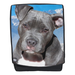Pit Bull Backpack