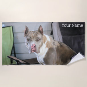 Pit Bull Beach Towel