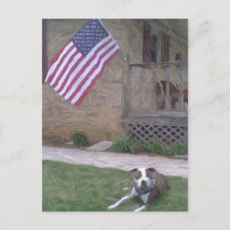 Pit Bull/BSL Postcard