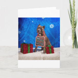 Pit-Bull Christmas Holiday Card
