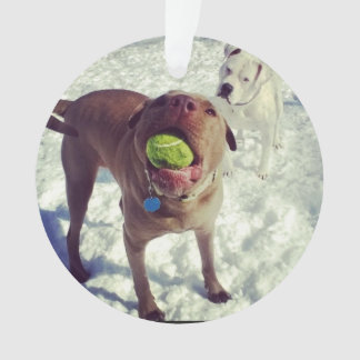 Pit Bull Christmas Ornament