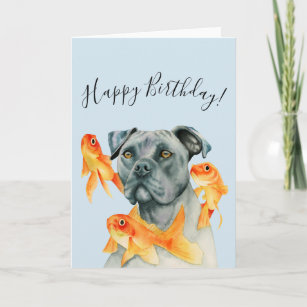 Pit Bull Dog and Goldfishes   Happy Birthday Card