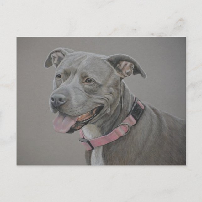 Pit Bull Dog Art Postcard (Front)