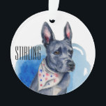 Pit Bull Dog Blue Watercolor Customisable Ornament<br><div class="desc">This is a drawing and a watercolor painting of a grey pit bull. He has a scarf with red and blue dots (stars) on it. His prominent feature is his long ears that stand up like a bunny!</div>