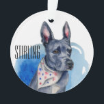 Pit Bull Dog Blue Watercolor Customisable Ornament<br><div class="desc">This is a drawing and a watercolor painting of a grey pit bull. He has a scarf with red and blue dots (stars) on it. His prominent feature is his long ears that stand up like a bunny!</div>