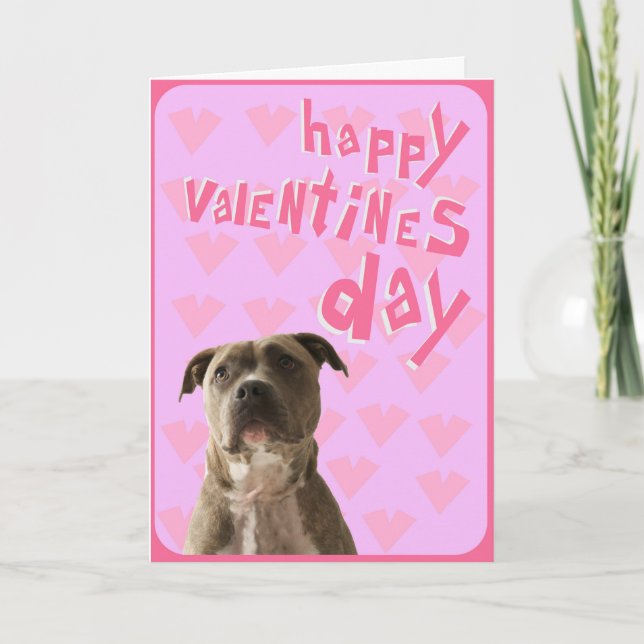 Pit Bull Dog Happy Valentine's Day Greeting Card (Front)