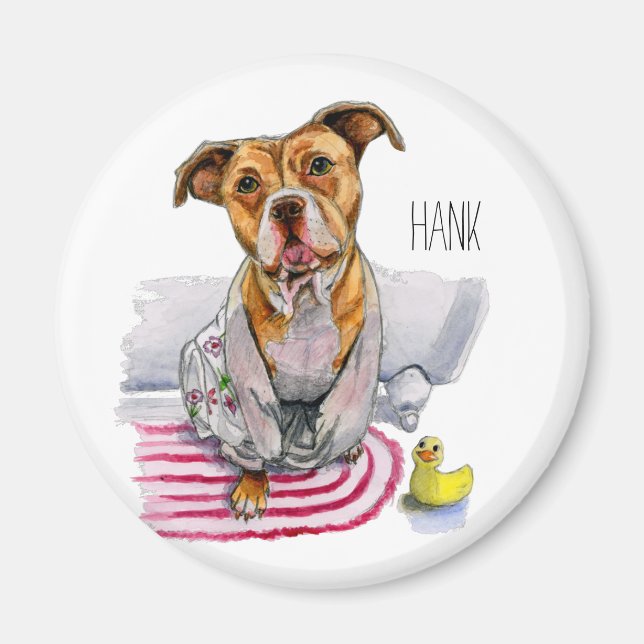 Pit Bull Dog in Bathrobe Watercolor Painting Magnet (Front)