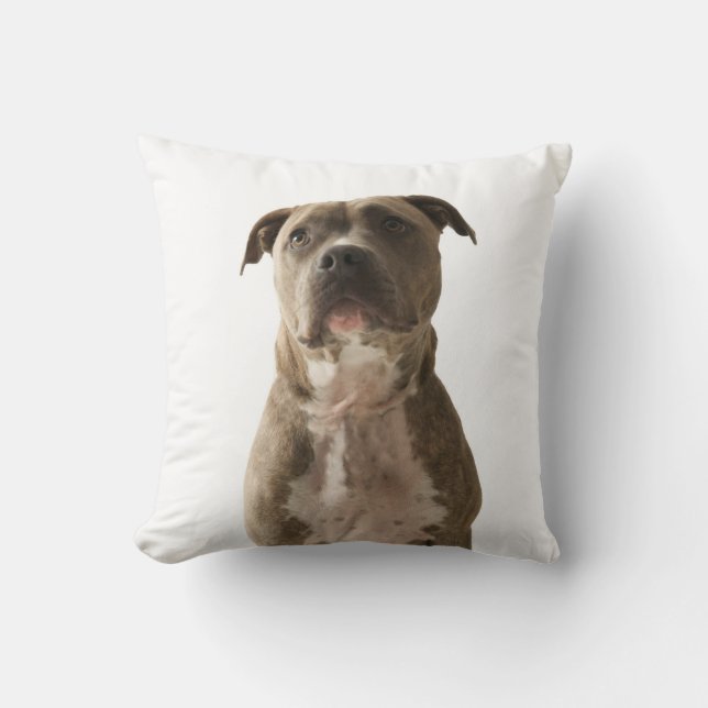 Pit Bull Dog Pillow (Front)