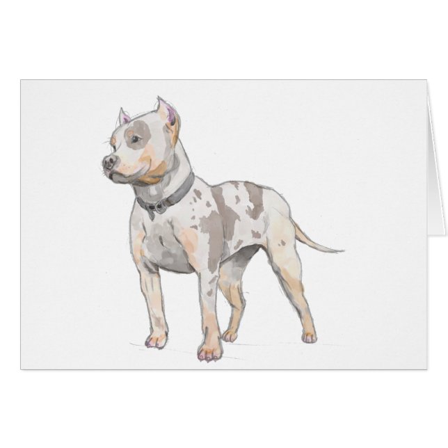 Pit Bull Dog Watercolor Sketch Card (Front Horizontal)