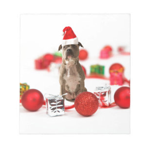 Pit Bull Dog with Gift box and Christmas Ornaments Notepad