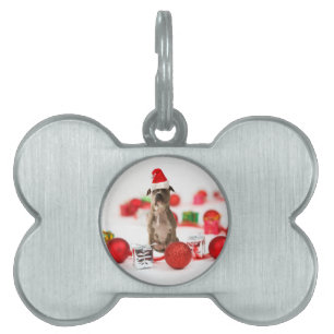 Pit Bull Dog with Gift box and Christmas Ornaments Pet Name Tag