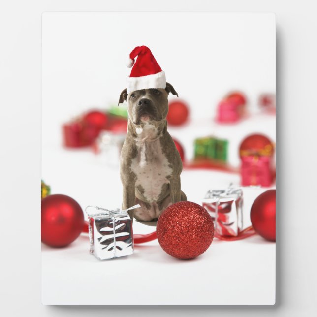 Pit Bull Dog with Gift box and Christmas Ornaments Plaque (Front)