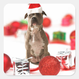 Pit Bull Dog with Gift box and Christmas Ornaments Square Sticker
