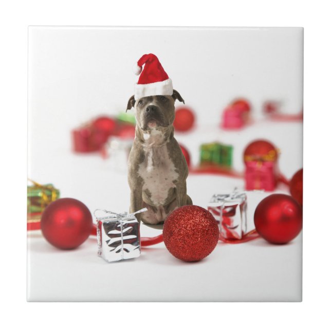 Pit Bull Dog with Gift box and Christmas Ornaments Tile (Front)