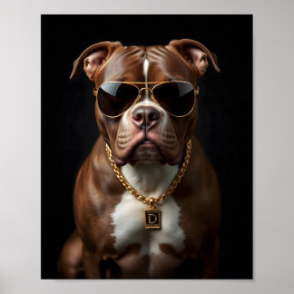 Pit bull Dog with sunglass and gold chain Poster