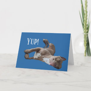 Pit Bull Funny Card