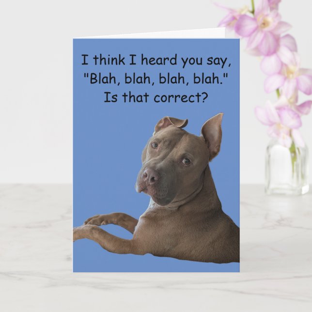 Pit Bull Funny Greeting Card (Orchid)