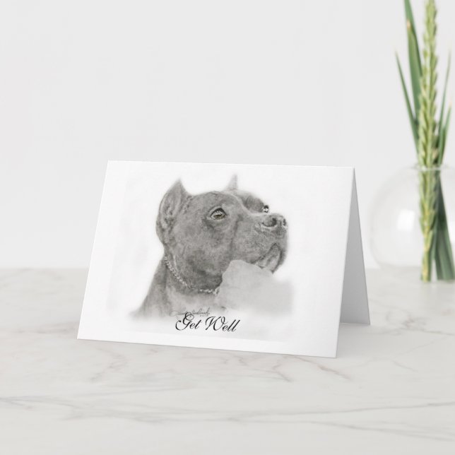 Pit Bull Get Well Card (Front)