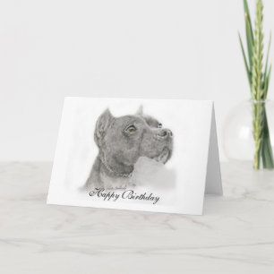 Pit Bull Happy Birthday Card