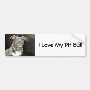 Pit Bull Love Bumper Sticker