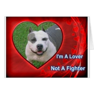 Pit Bull Lover