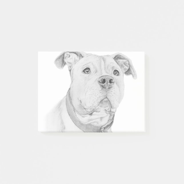 Pit Bull, Misunderstood Post-it Notes (Front)