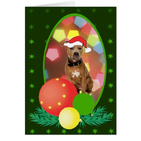 Pit Bull Ornaments Card
