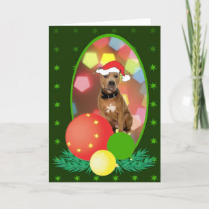 Pit Bull Ornaments Holiday Card
