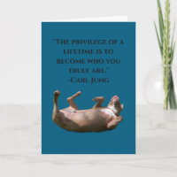 Pit Bull Philosophy