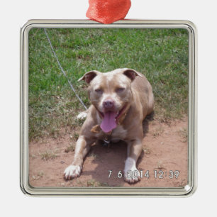 Pit Bull Products Metal Tree Decoration