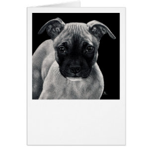 Pit Bull Pup Card - "Mr. Mischief"