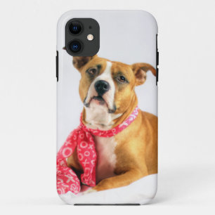 Pit Bull Puppy Love in Pink XOXO iPhone 11 Case