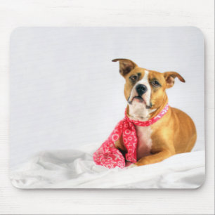 Pit Bull Puppy Love in Pink XOXO Mouse Mat