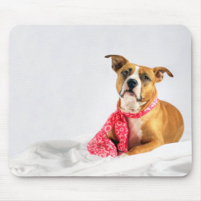 Pit Bull Puppy Love in Pink XOXO Mouse Mat (Front)