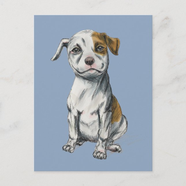 Pit Bull Puppy Sketch Drawing Postcard (Front)
