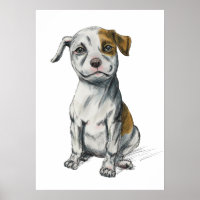 Pit Bull Puppy Sketch Drawing