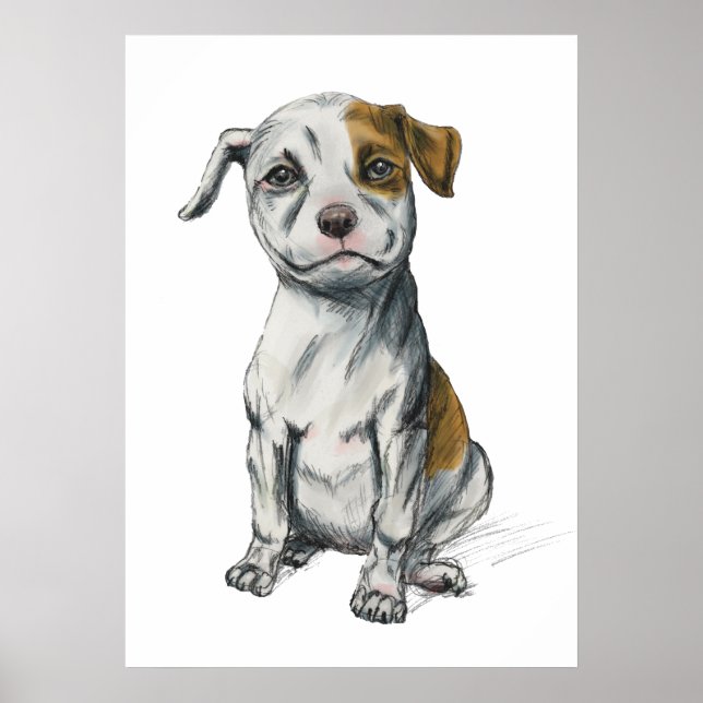 Pit Bull Puppy Sketch Drawing Poster (Front)