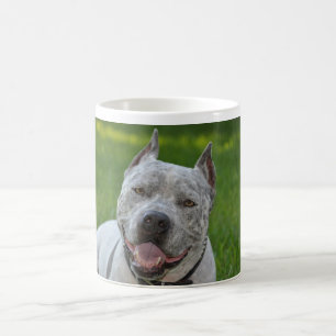 pit bull sharky dog mug good  morning pitbull