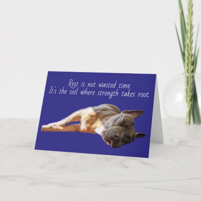 Pit Bull Sleeping Card (Front)