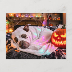 Pit Bull Sleeping in Ghost Costume Halloween Postcard