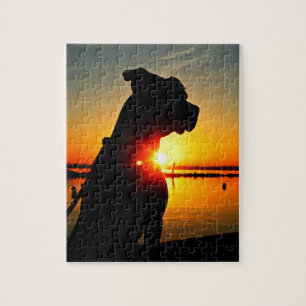 Pit Bull Sunrise Jigsaw Puzzle