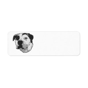 Pit Bull T-Bone Graphic