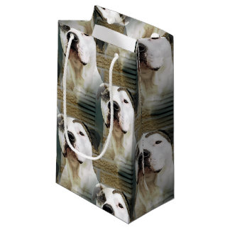 Pit Bull T-Bone Small Gift Bag