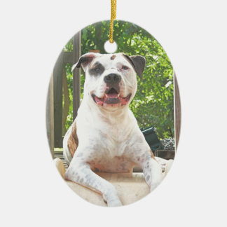 Pit Bull T-Bone's Tree House Ceramic Tree Decoration