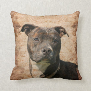 Pit Bull Terrier Cushion