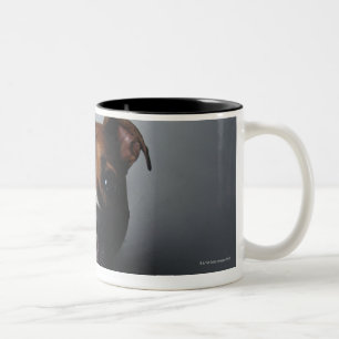 Pit Bull Terrier Lying Down Two-Tone Coffee Mug