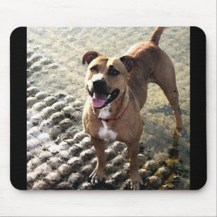 Pit Bull Terrier Mouse Mat